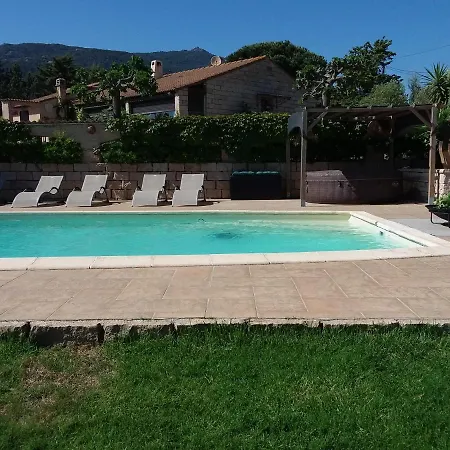 Magnifique Piscine Propriano