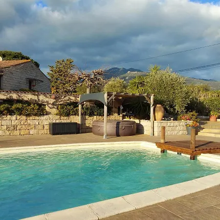 Magnifique Piscine Propriano *