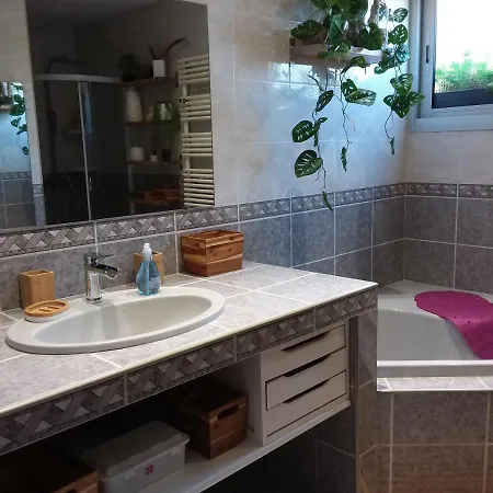 Magnifique Piscine Propriano *