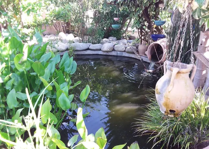 וילה Magnifique Piscine Propriano אולמטו