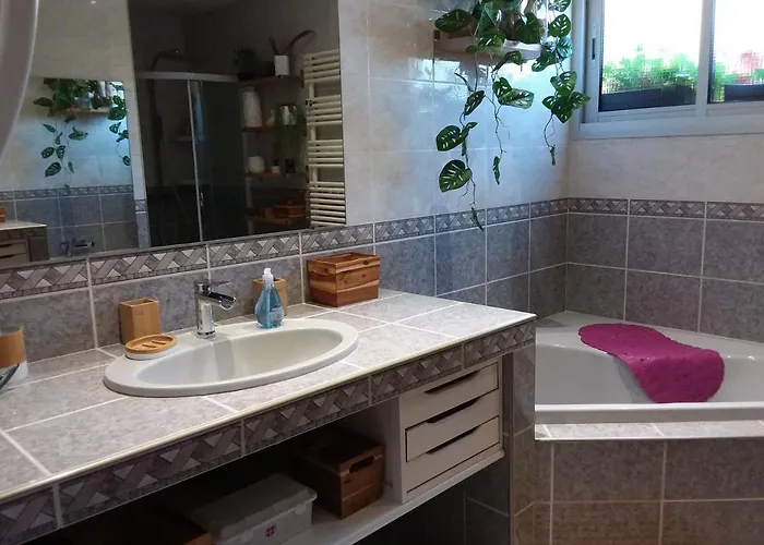 Magnifique Piscine Propriano *