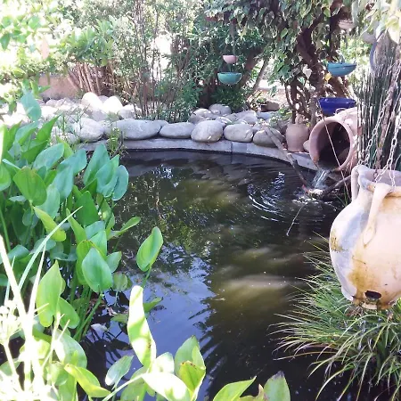 Villa Magnifique Piscine Propriano Olmeto (Corsica)