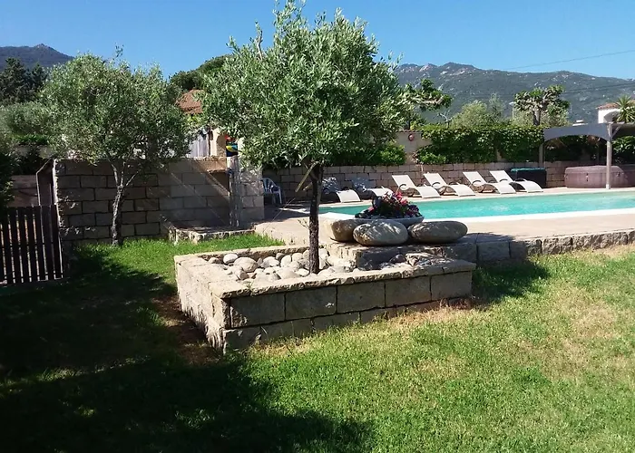 Magnifique Piscine Propriano *