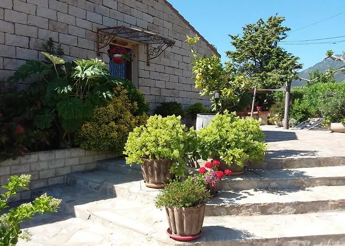 Magnifique Piscine Propriano Olmeto (Corsica)